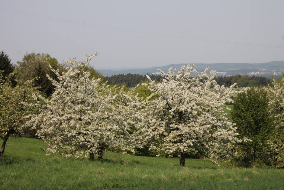 Gemeinde Kalchreuth Gemeinde Kalchreuth